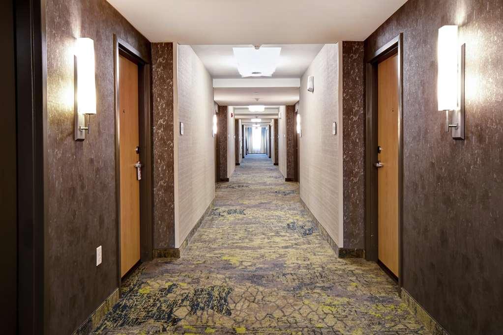 Hilton Garden Inn Jackson Comodidades foto